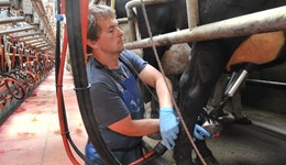 Finding top performers from farm records : Pembrokeshire